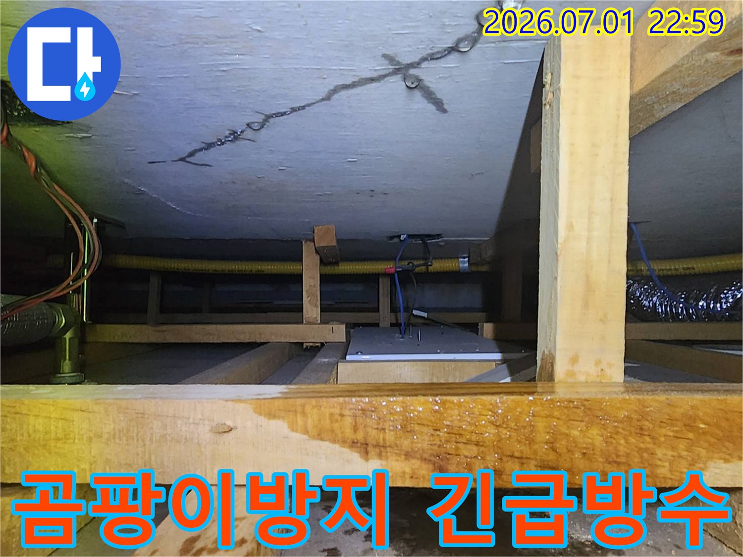 천장 균열과 젖은 목재 구조물-그리고 물이 고인 바닥을-보여주는-곰팡이 발생 우려 현장입니다.