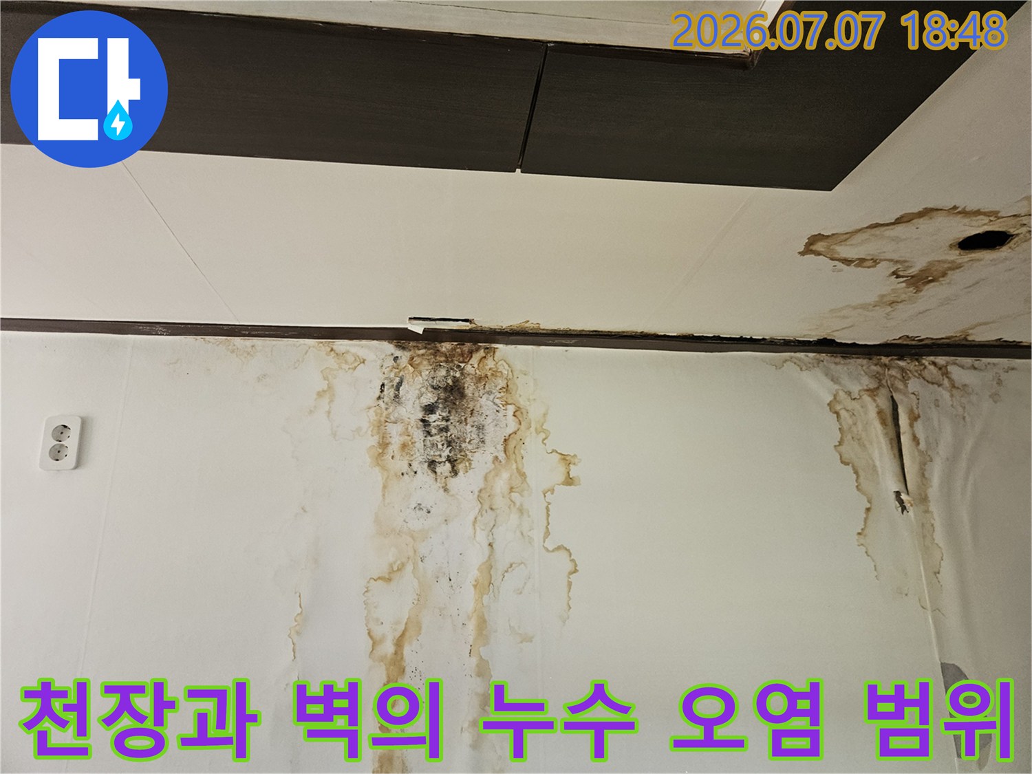 벽면을 타고 번진 누수 물자국과 곰팡이 오염 부위 촬영