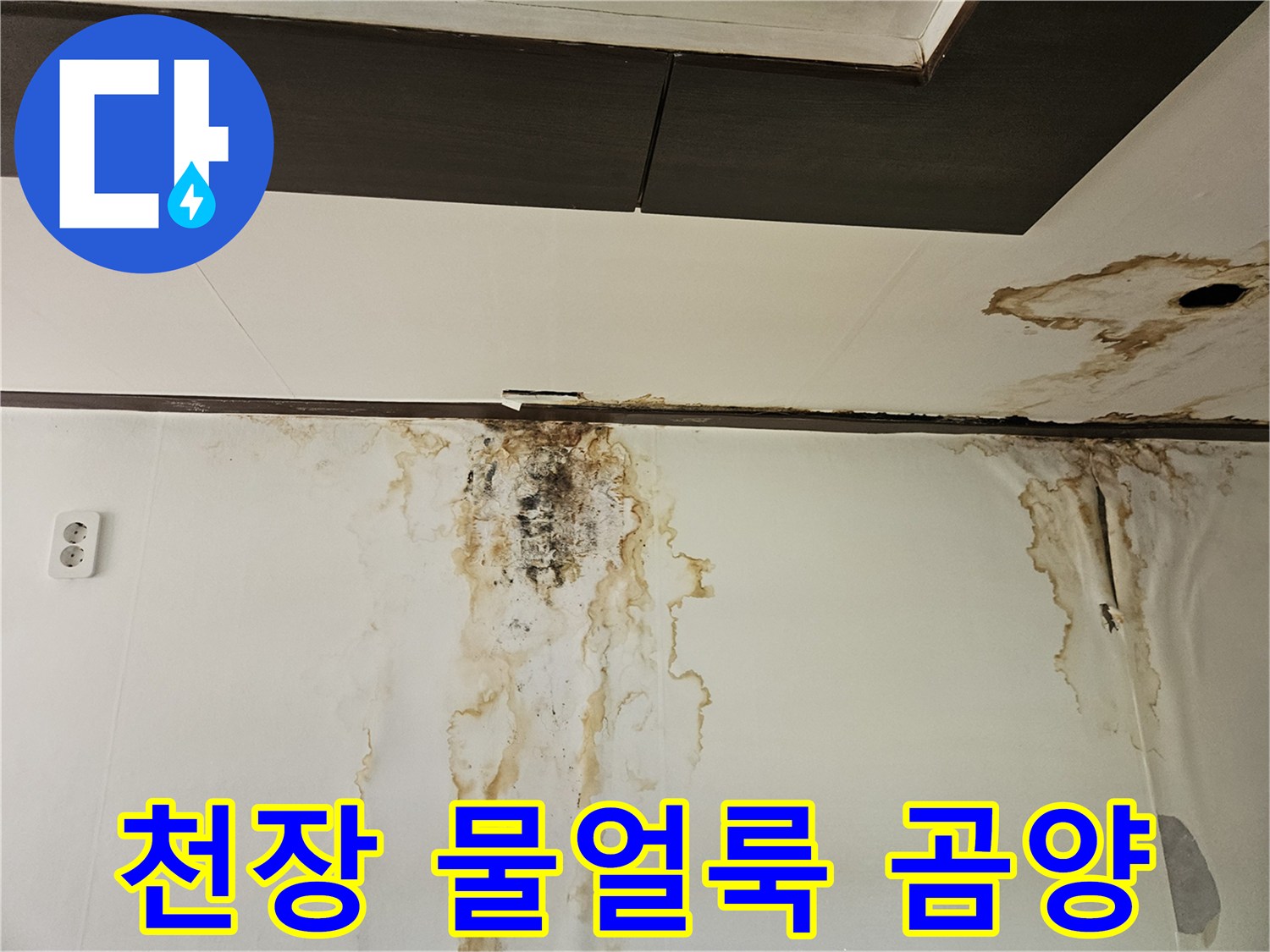 성북구-정릉동-아래층-천장-벽면-물얼룩-및-곰팡이-현황