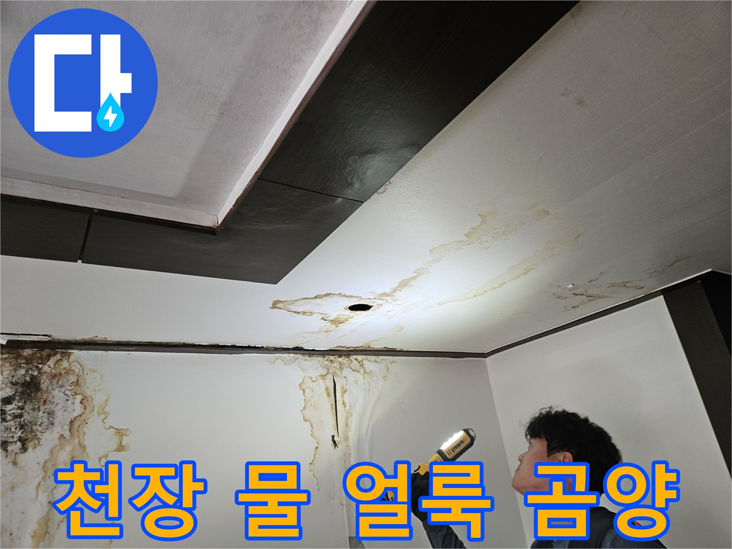 성북구 정릉동 현장의 천장 물 얼룩과 벽면 곰팡이 상태