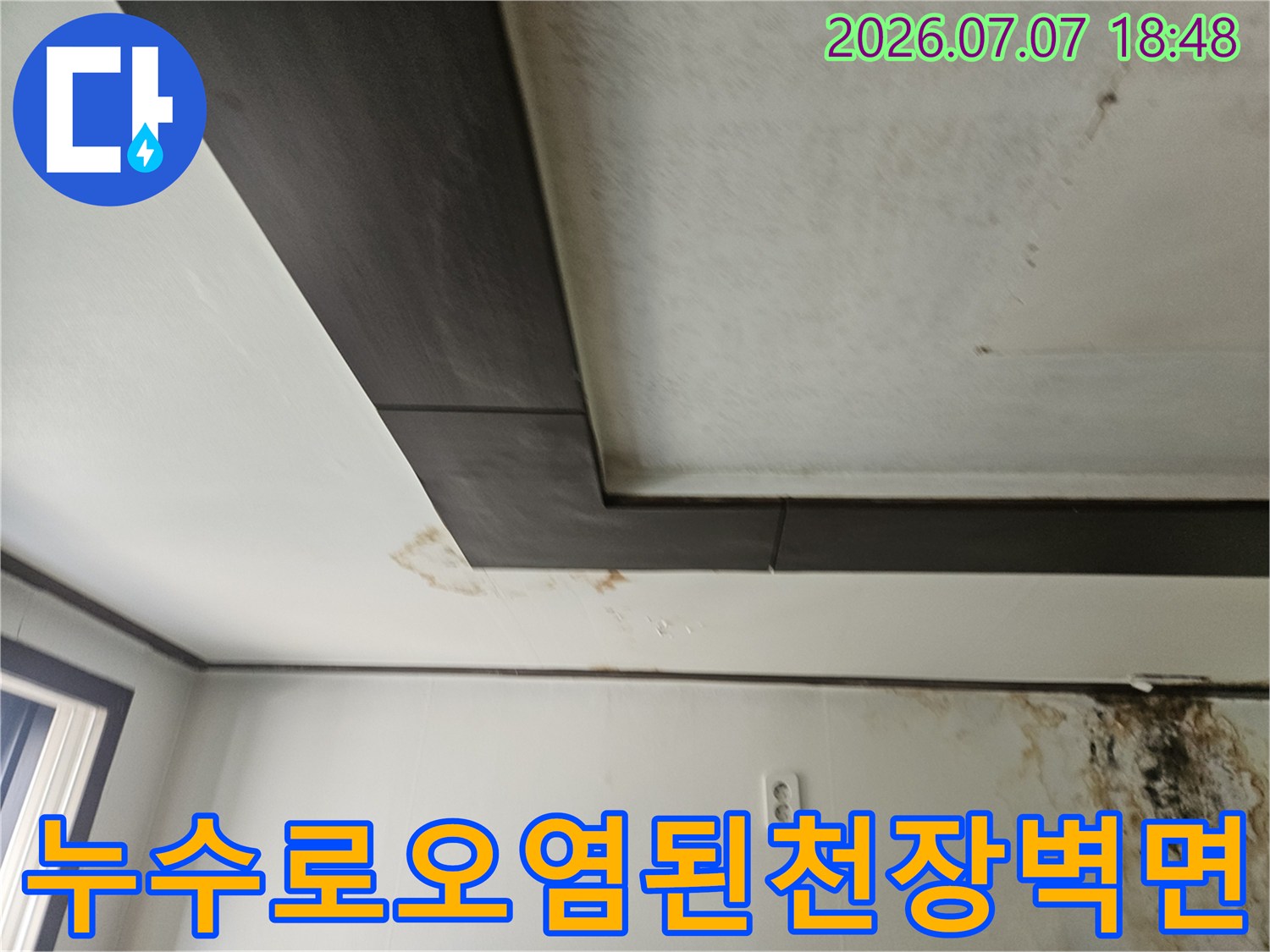 습기로 인해 변색되고 곰팡이가 발생한 천장과 벽체 모습