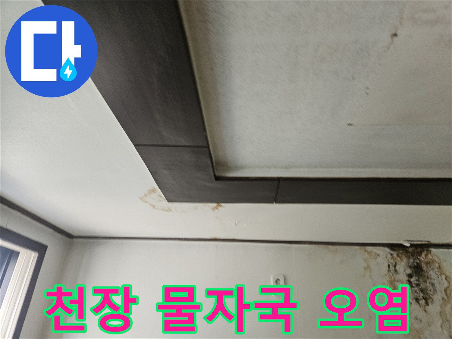 천장-구석진-부위의-심각한-누수-및-곰팡이-흔적