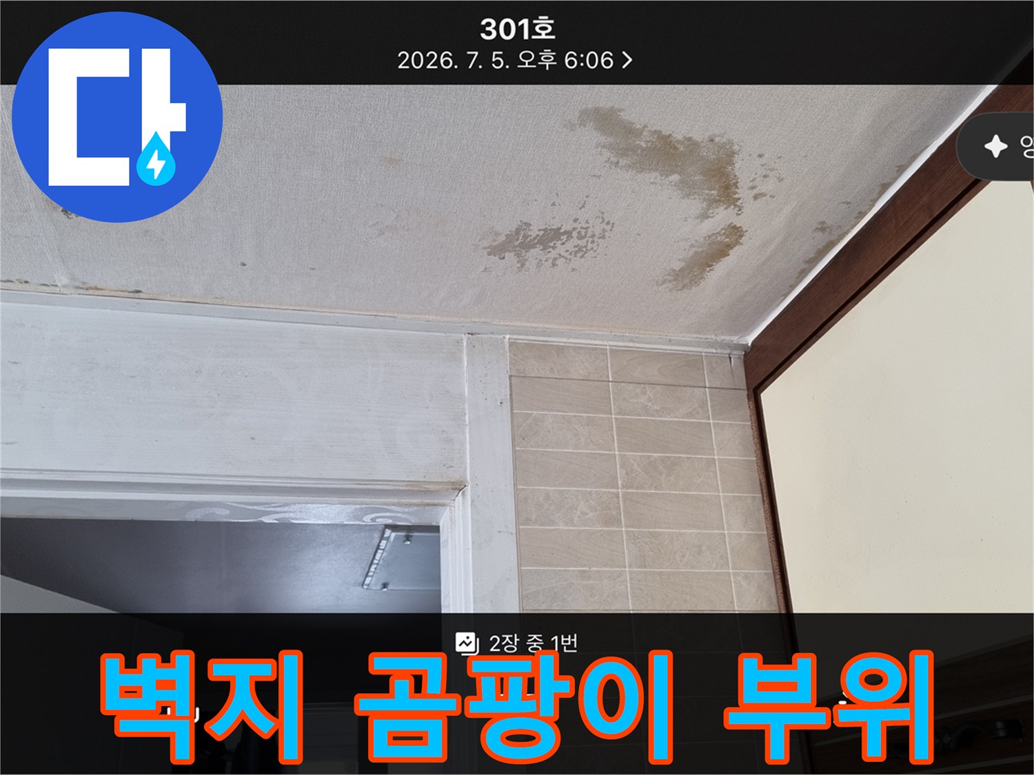 천장-벽지의-곰팡이와-습기-침투-상태