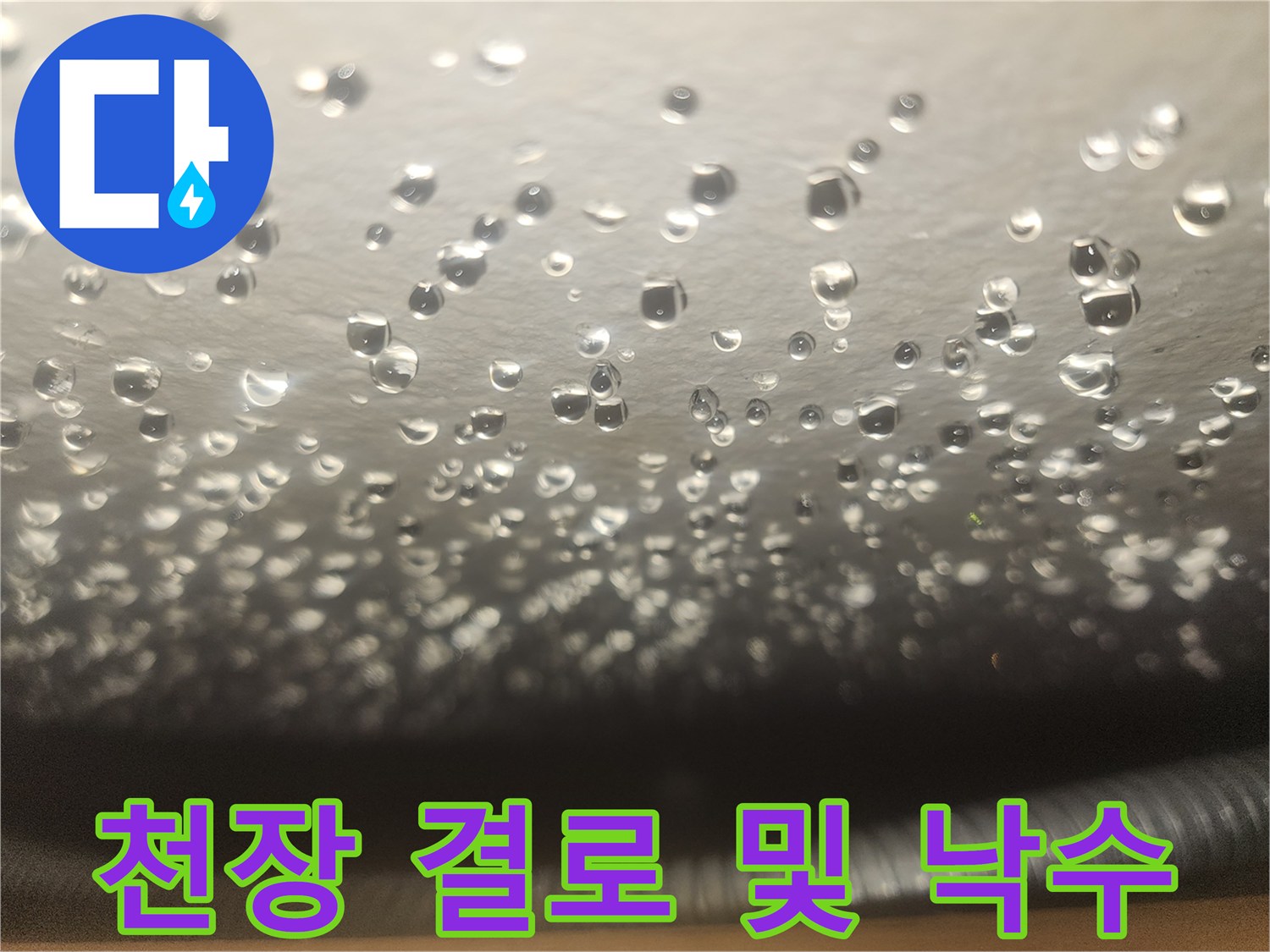 천장에 맺힌 투명한 물방울-누수 발생 지점의 상세 모습