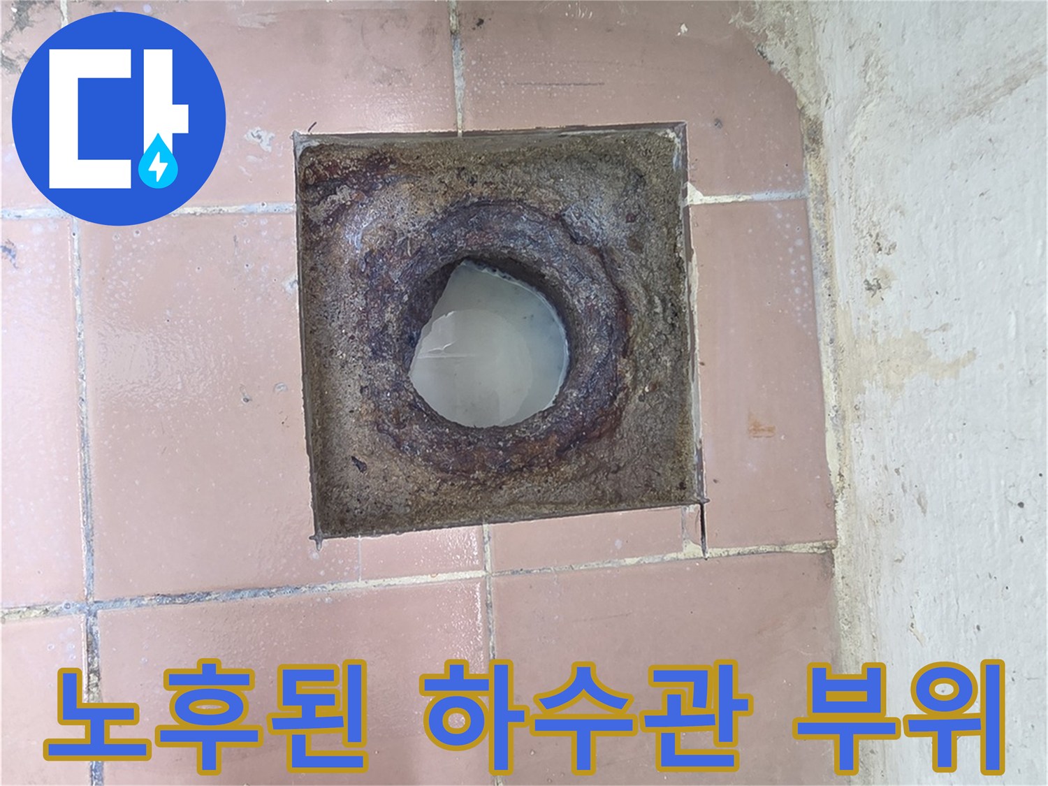 부식과 오염이 심한-배수구-내부-배관의-상태를-확인할 수 있습니다