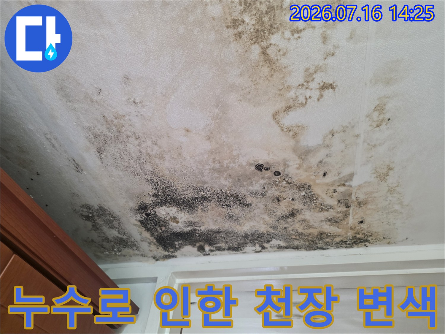 곰팡이와 누수가 발생한 아파트 내부 천장