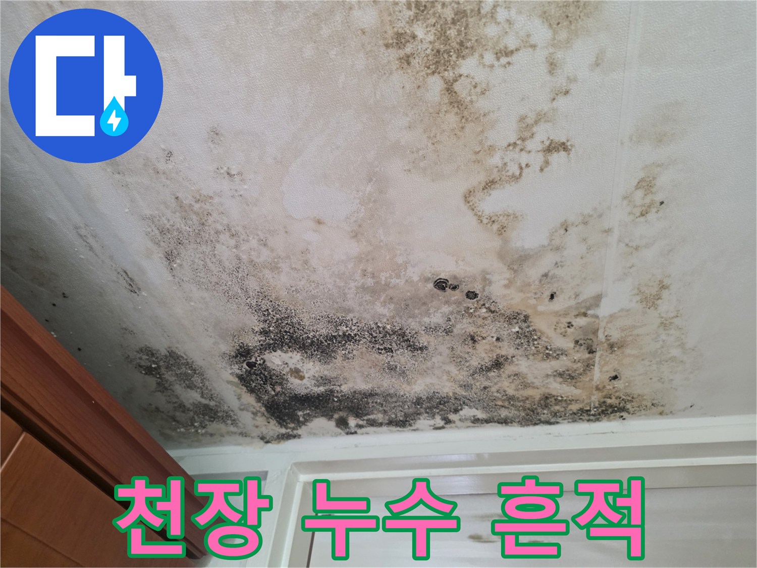 습기로 인해 변색되고 곰팡이가 번진 천장 마감재 부위