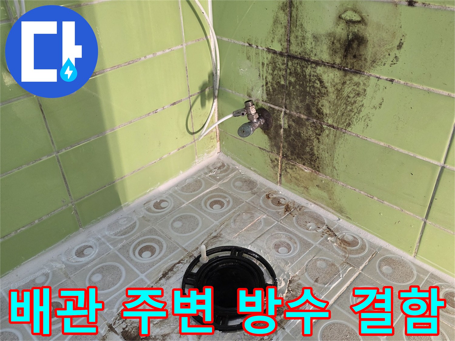 욕실 배수관 주변-곰팡이와 타일 오염 현황