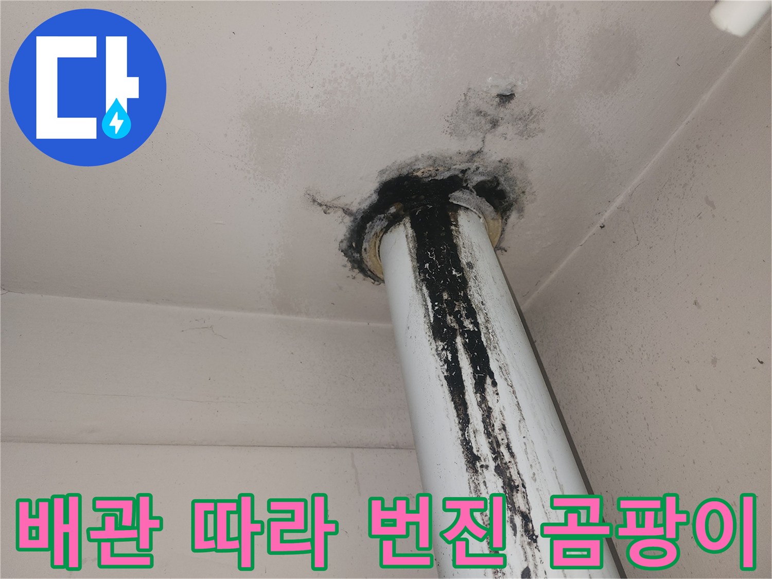 하얀색 수직 배관과 검은 곰팡이가 섞인 천장 부위