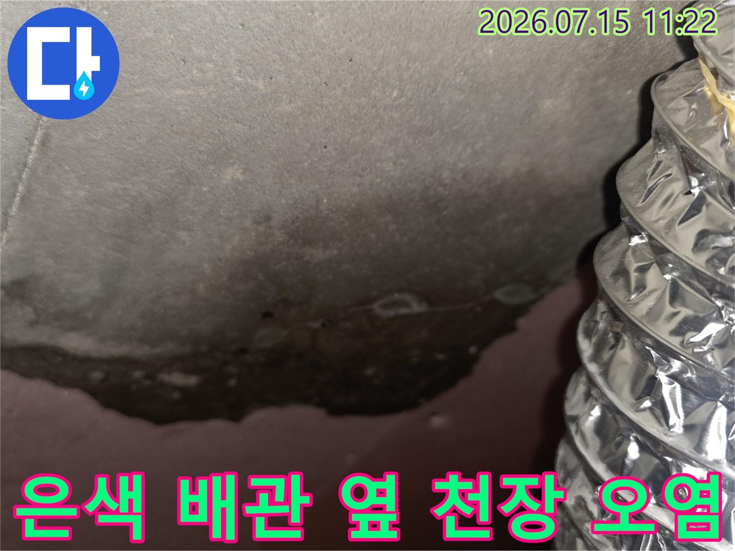 은색 주름관과 그 주변으로 검게 번진 천장의 누수 얼룩-곰팡이 발생