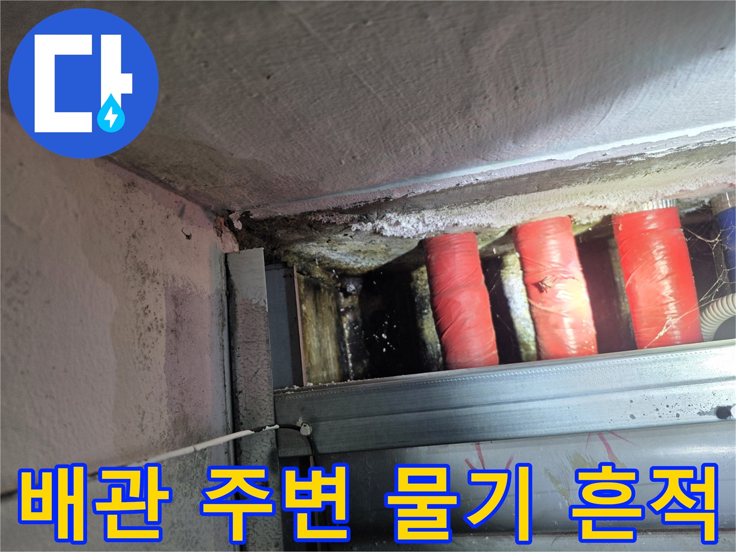 양천구 식당 지하-습기로 젖은 배관 보온재 상태