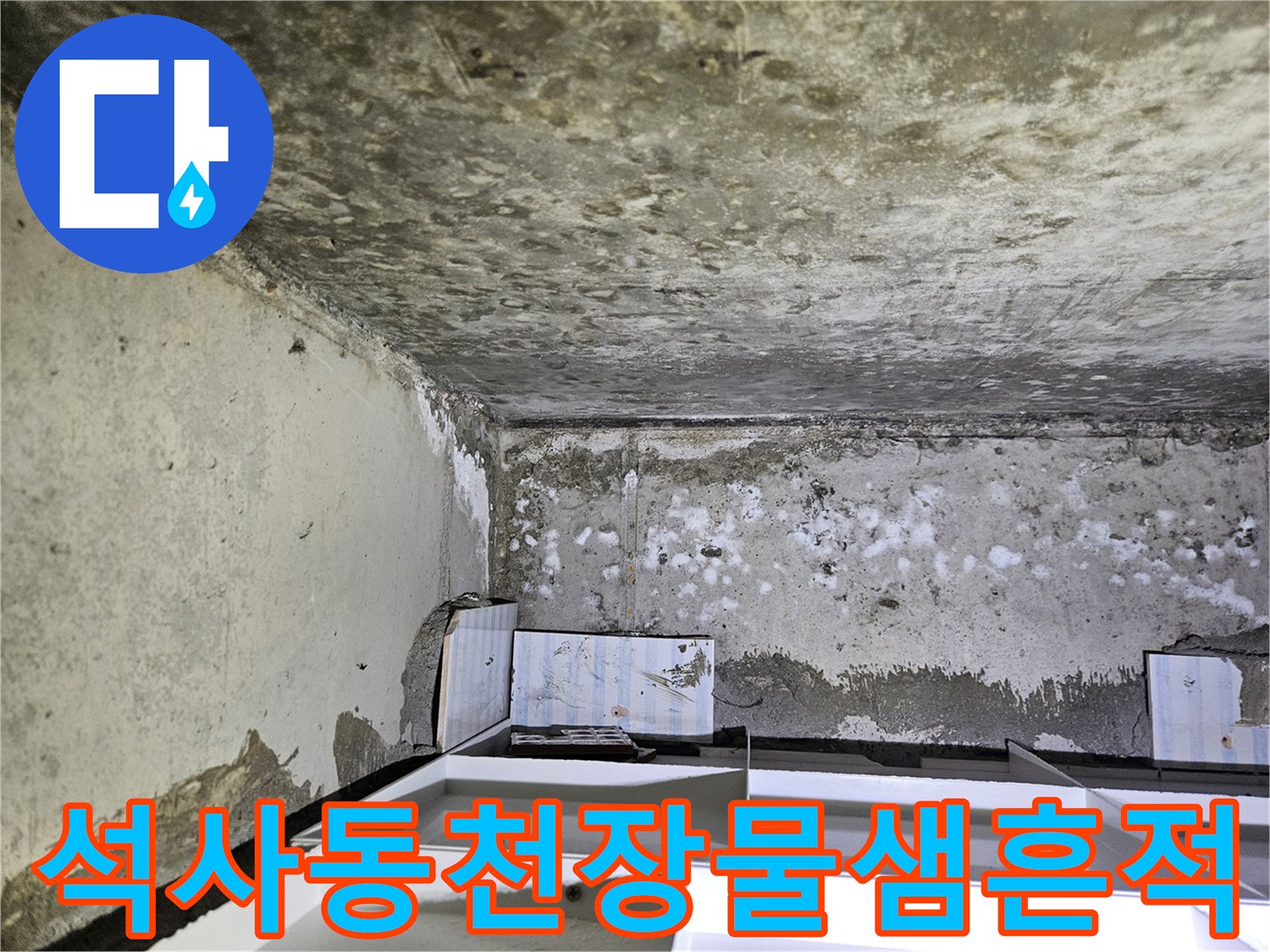 춘천-석사동-아파트-천장-백화현상-및-습기-상태