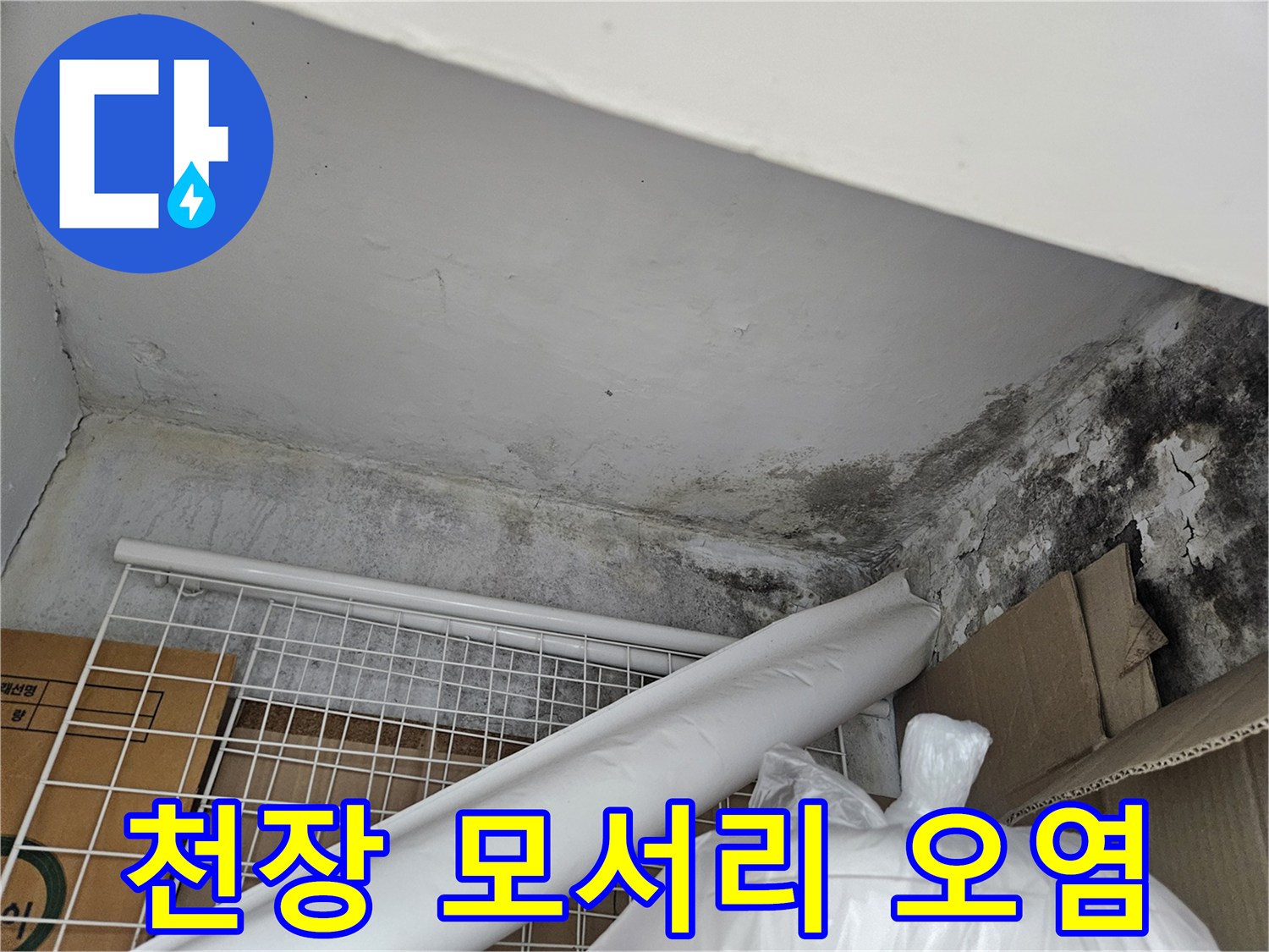 천장 구석의 곰팡이와 습기로 인한 얼룩 현상