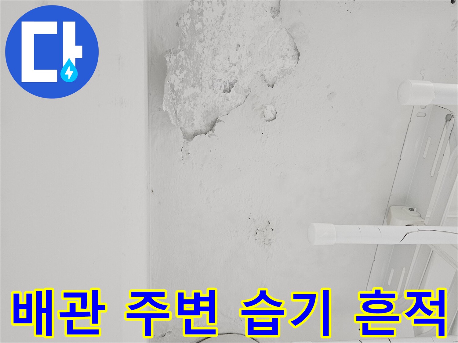 하수관 연결부-벽면 마감재 박리와 물샘 증상 부위