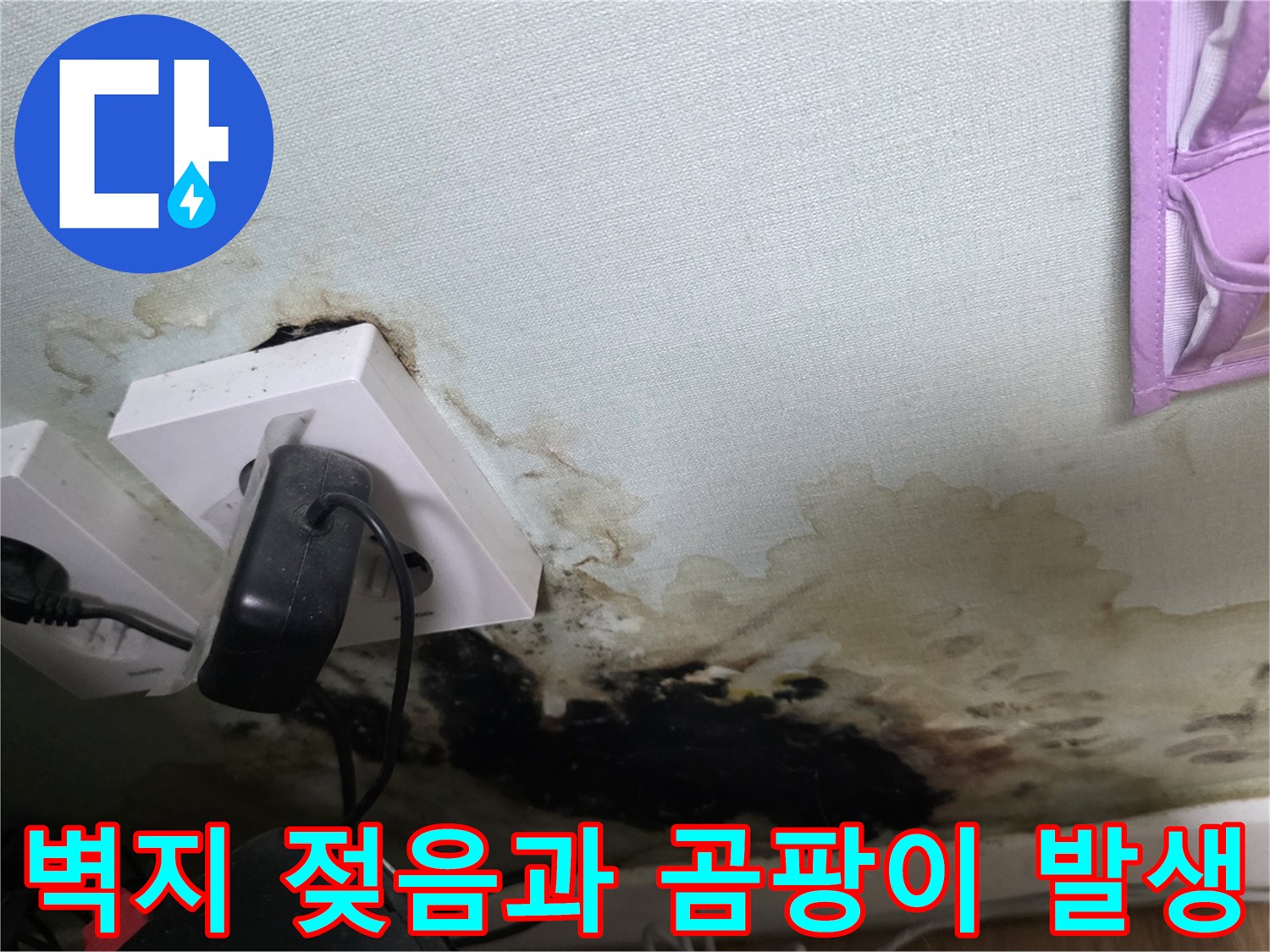 콘센트 주변 벽면의 심한 습기 침투와 검은색 곰팡이 자국