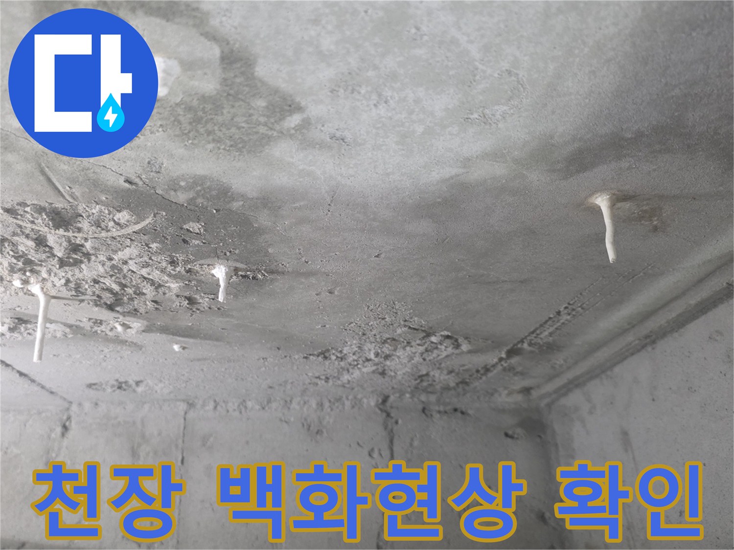 콘크리트 슬라브-석회물이 맺힌 백화 현상