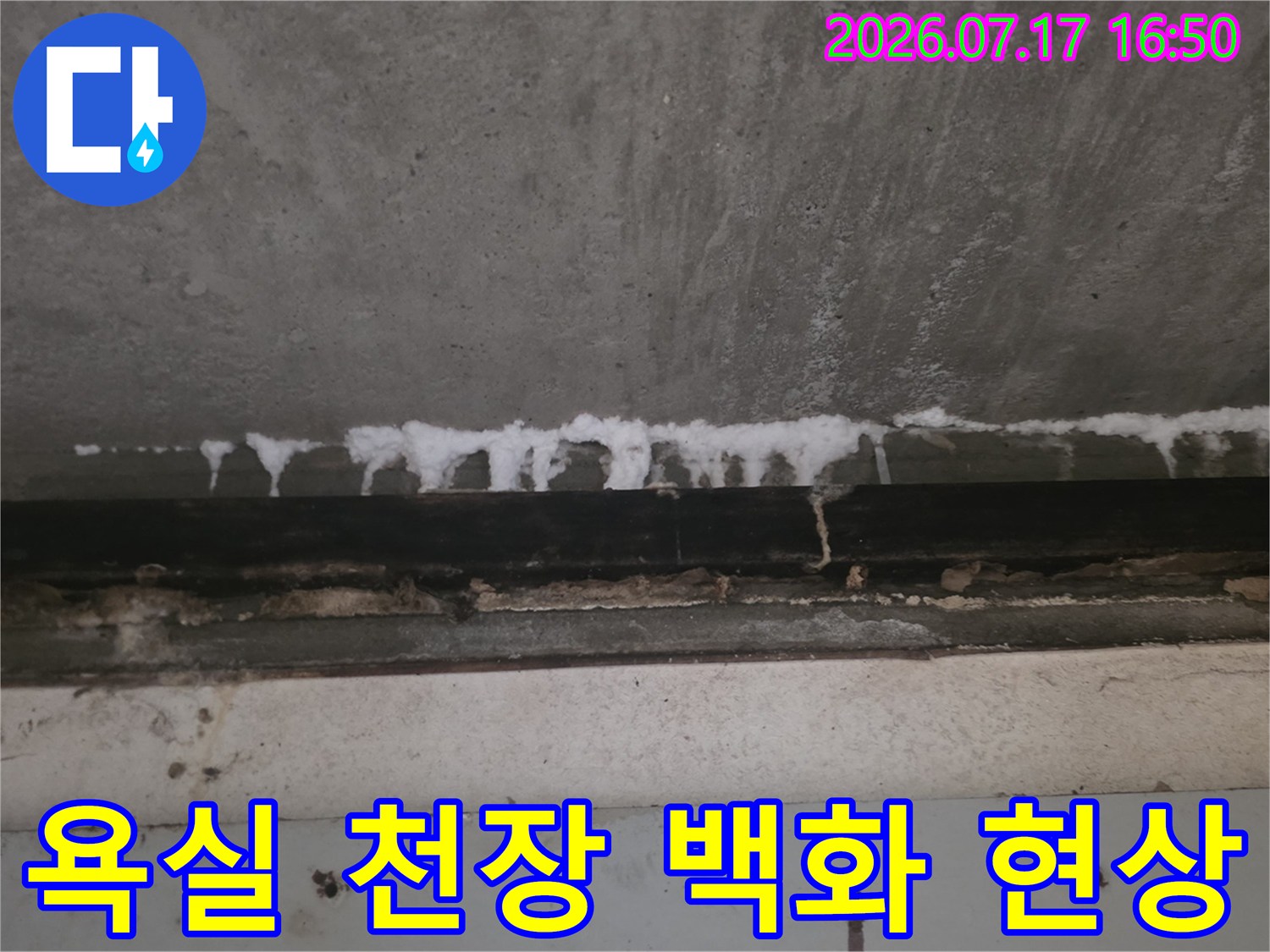 콘크리트 슬래브 표면에 하얗게 맺힌 석회질 누수 흔적 사진