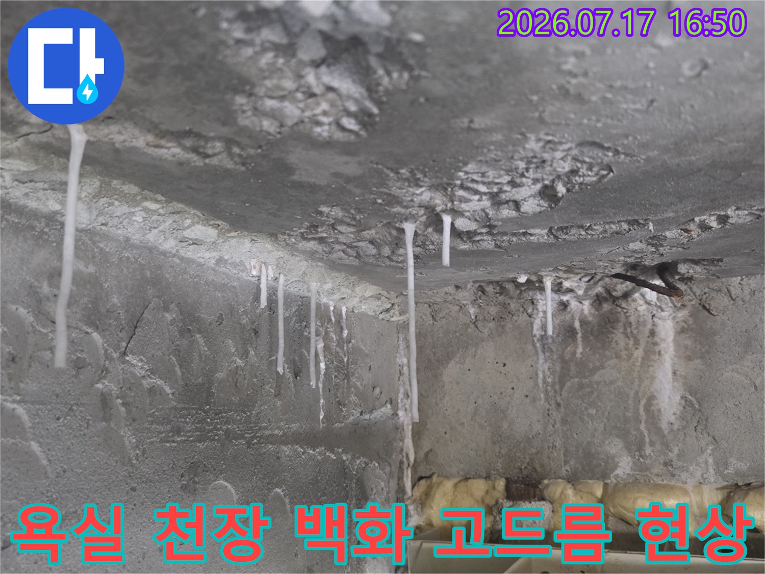 콘크리트 천장에서 하얗게 결정체가 맺혀 내려온 누수 흔적 사진