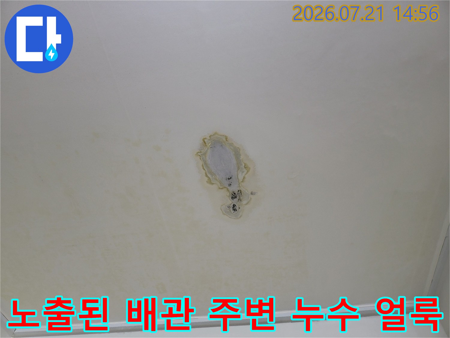 누수로 인해 오염된 천장 마감재와 노출부위 상세 사진