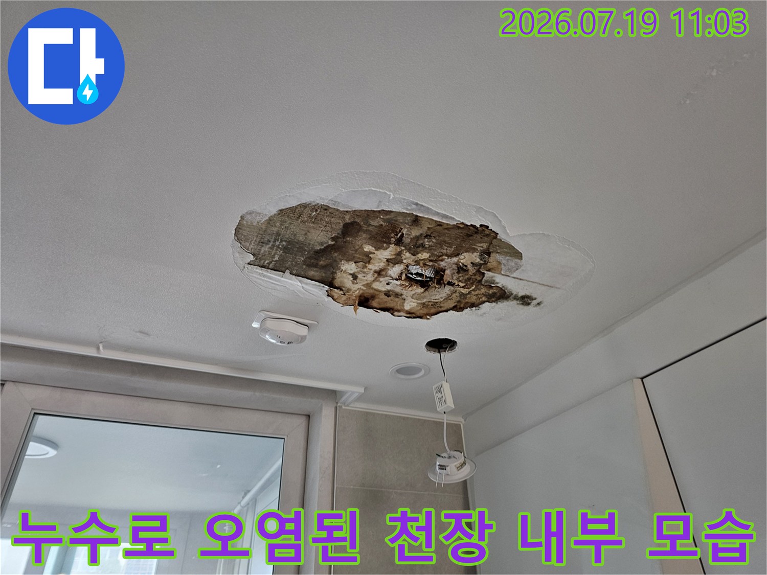 물에 젖어 갈색으로 변한 천장 내부 단열재와 노출된 전등 배선 사진