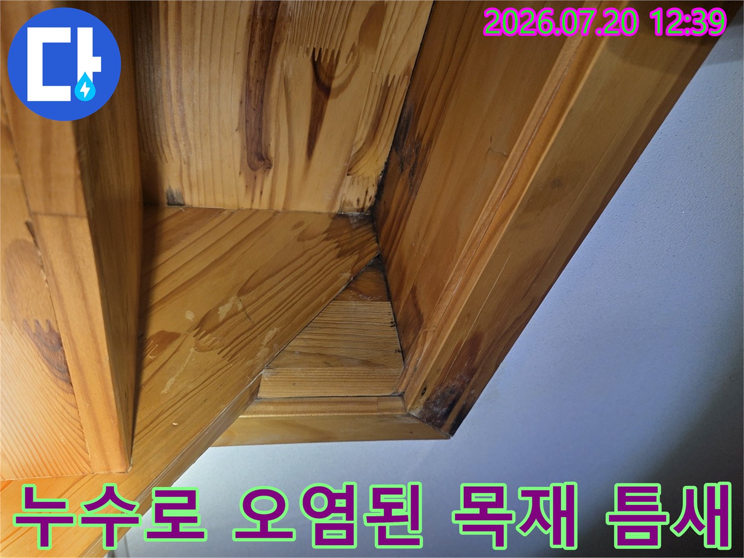 천장 나무 구조물의 접합점에 수분이 스며들어 검게 변색된 상태를 근접 촬영한 사진