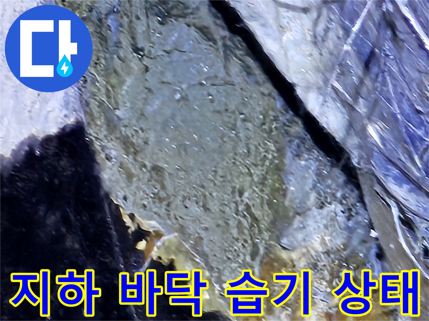 분당-지하-주차장-바닥-균열-및-습기-상태