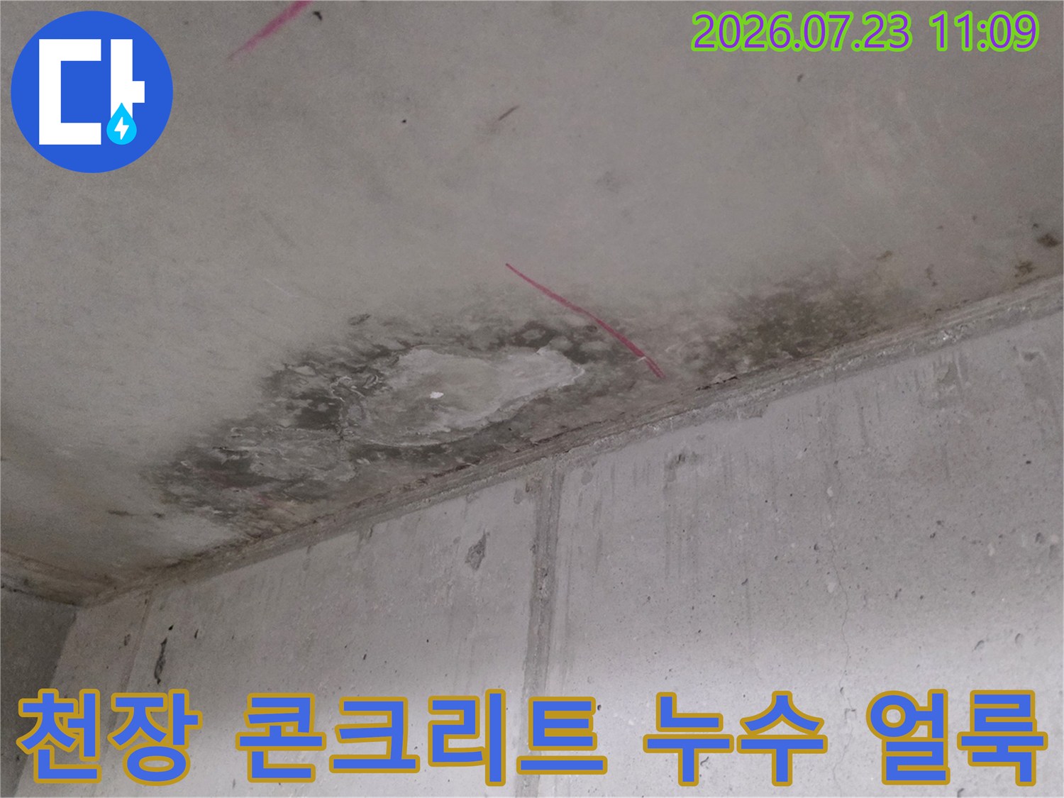 아파트 천장 콘크리트 표면에 물이 스며들어 발생한 어두운 색상의 누수 얼룩과 분홍색 표시선-모습