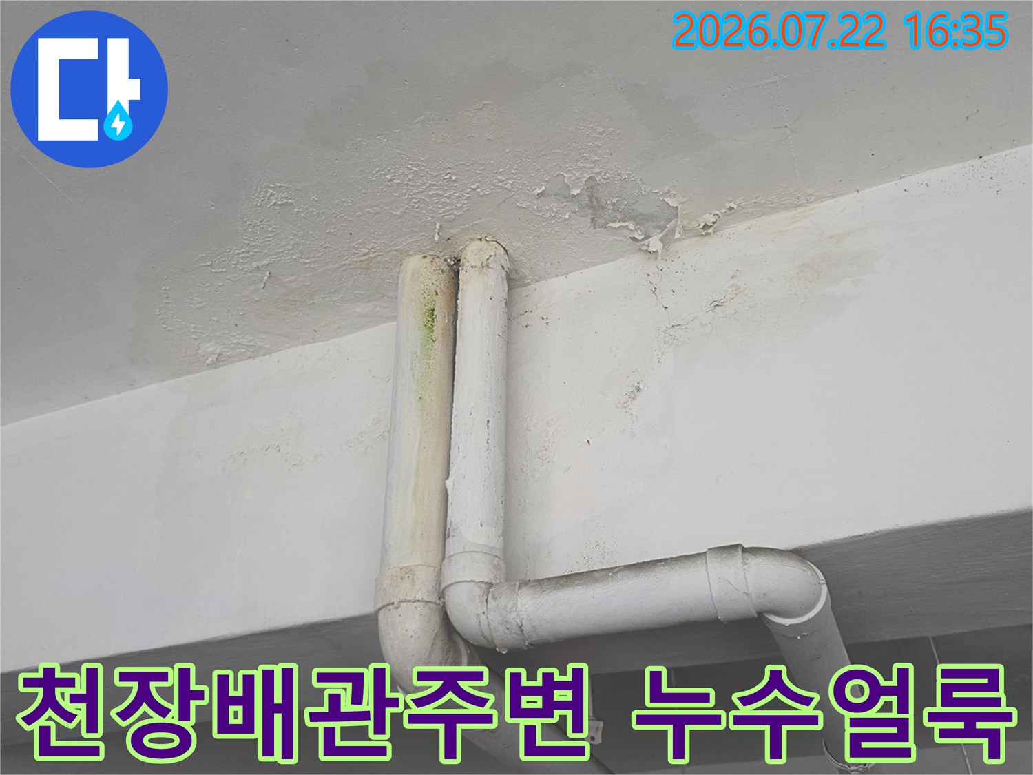 흰색 천장에 설치된 수직 배관 주변으로 물이 새어 나와 갈색 얼룩과 곰팡이가 발생한 모습
