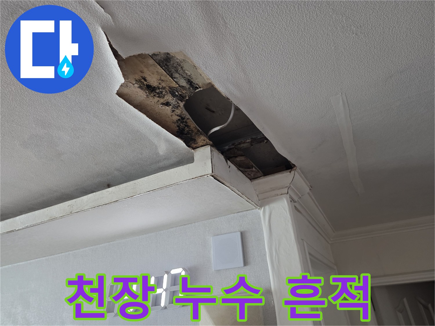 아랫집 거실 천장의 곰팡이와 파손된 마감재 상태