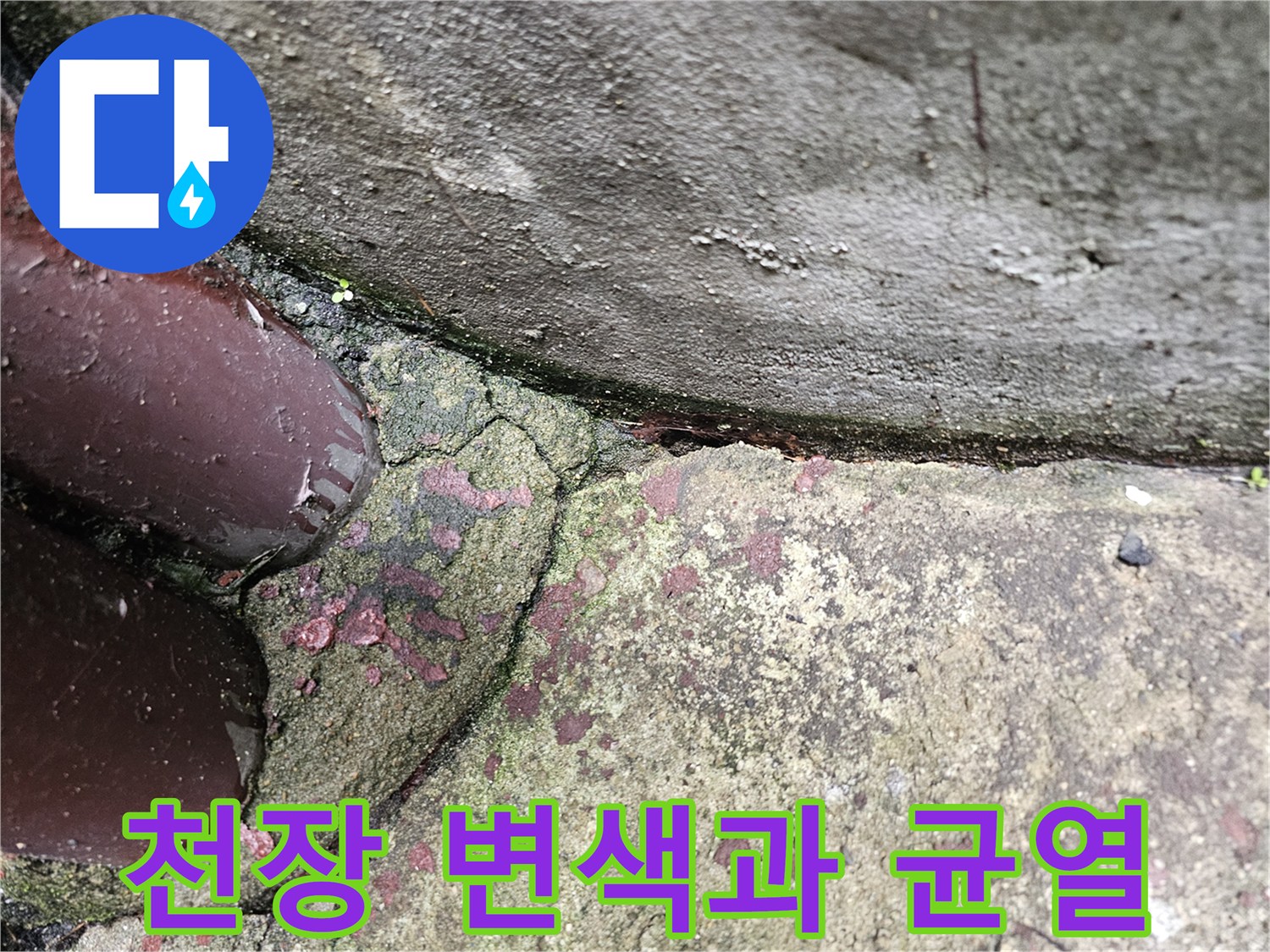 상도동 빌라 천장-변색된 마감재와 균열 상태