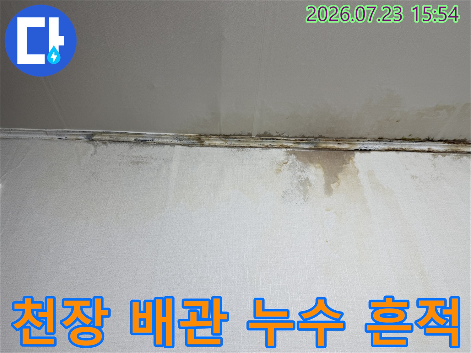 천장 경계선에 형성된 물자국과 곰팡이로 인한 벽지 변색 상태