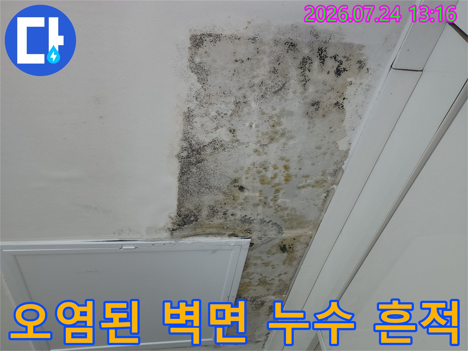 곰팡이와 물자국으로 오염된 천장 인근 벽체