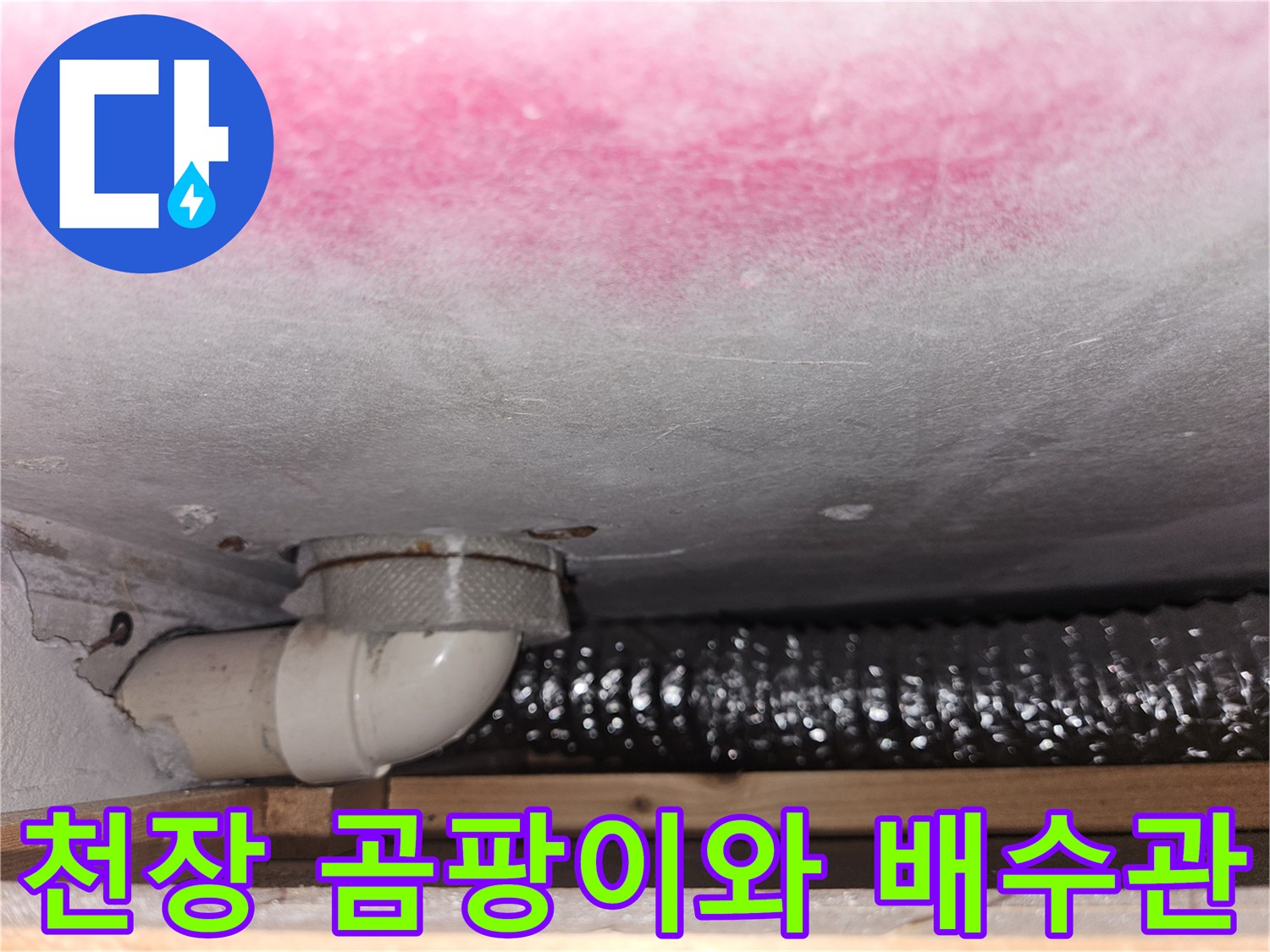 곰팡이가 번진 천장과 노출된 하수도 배관 부속