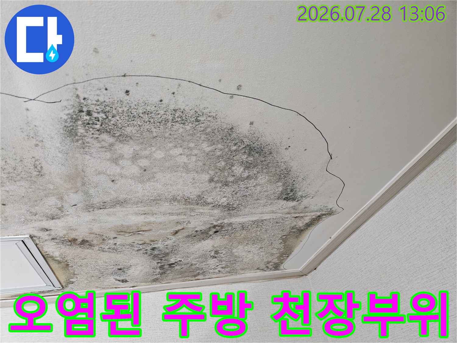 곰팡이와 물자국으로 훼손된 주방 천장 마감면 상태