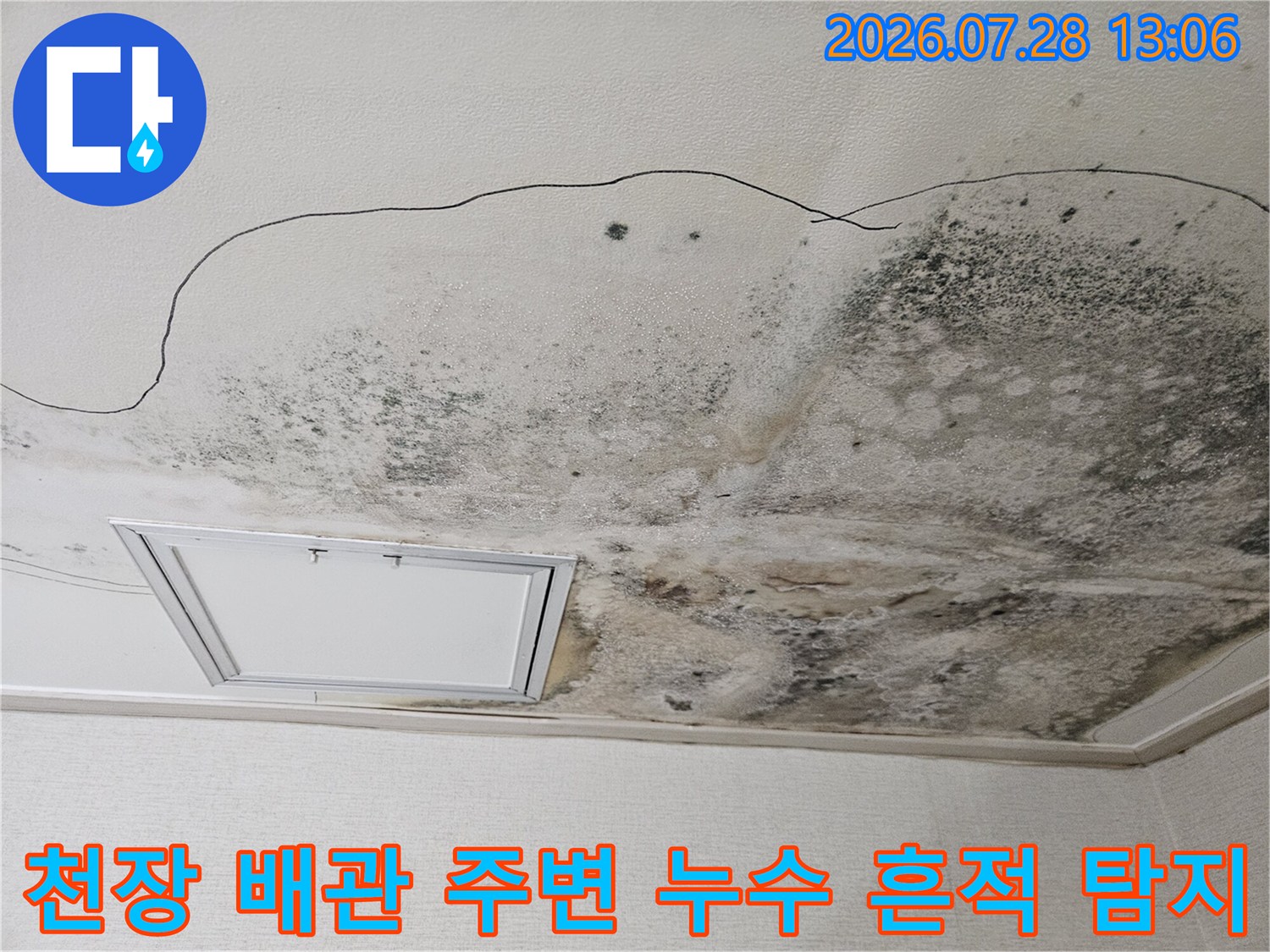 천장 마감재 위로 번진 곰팡이와 수분 오염 부위