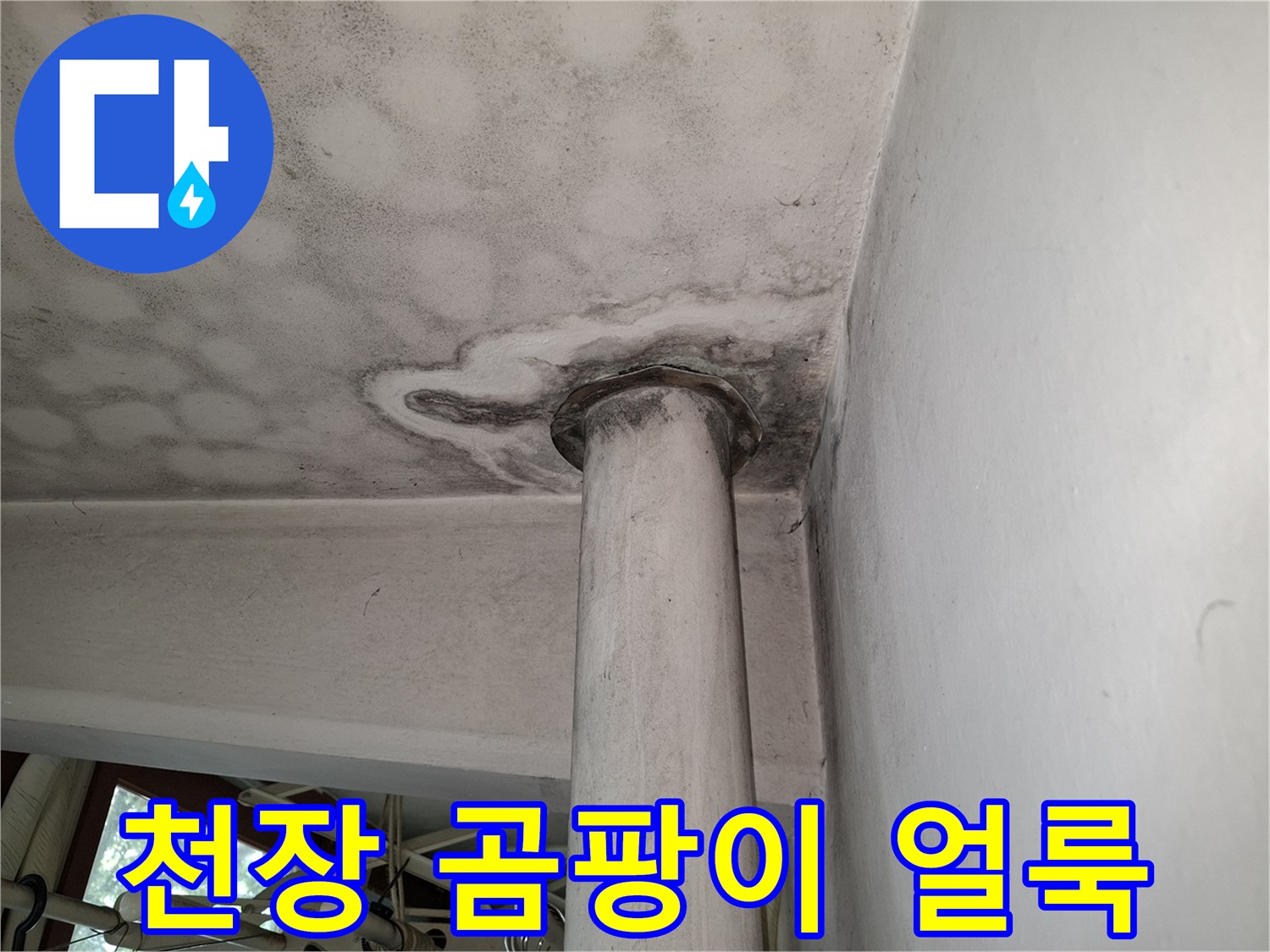 아파트 천장 부위에 발생한 검은색 곰팡이와 습기 흔적