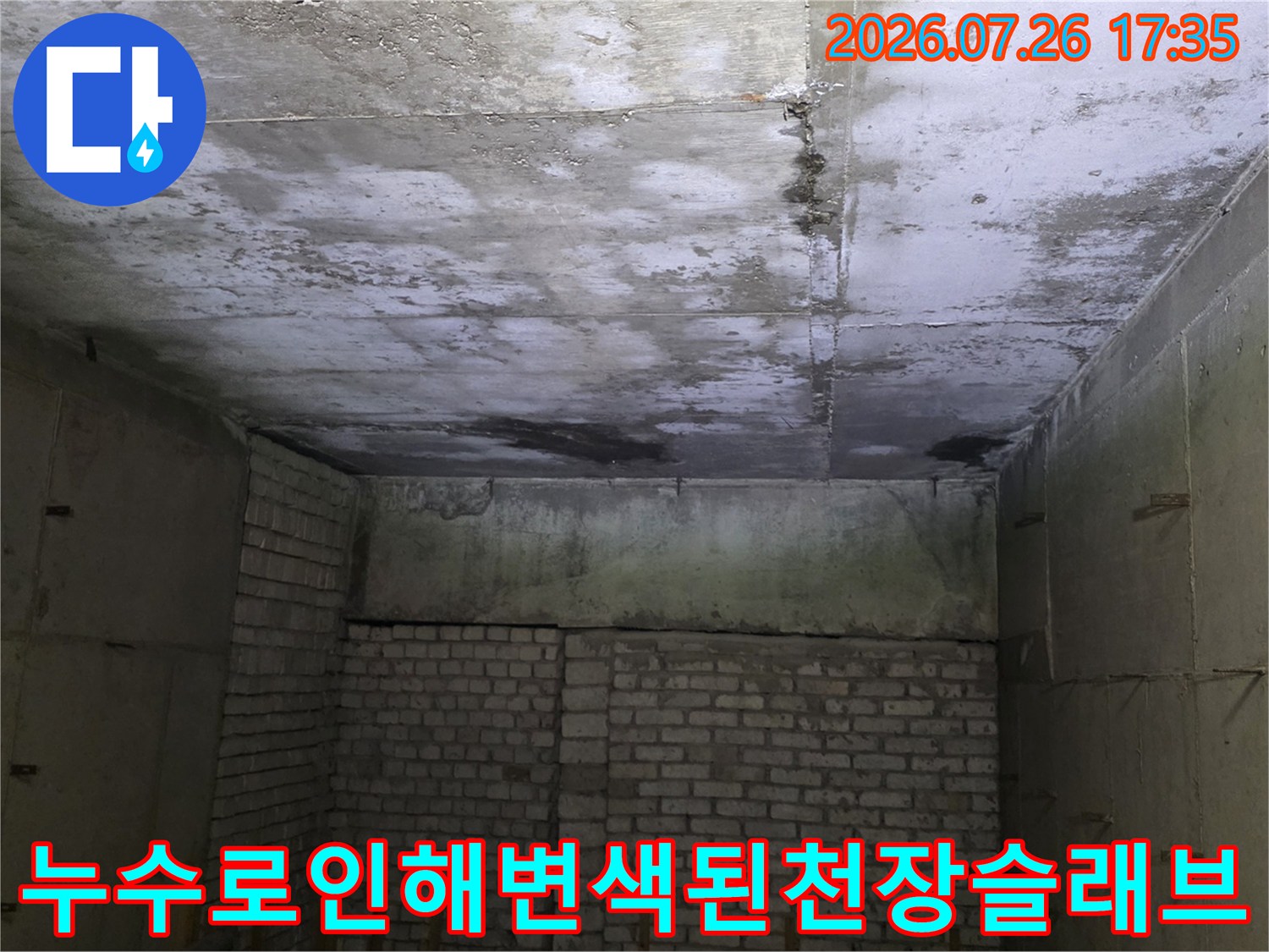 거친 질감의 노출 콘크리트 천장에 물이 스며들어 생긴 짙은 회색과 검은색 얼룩들