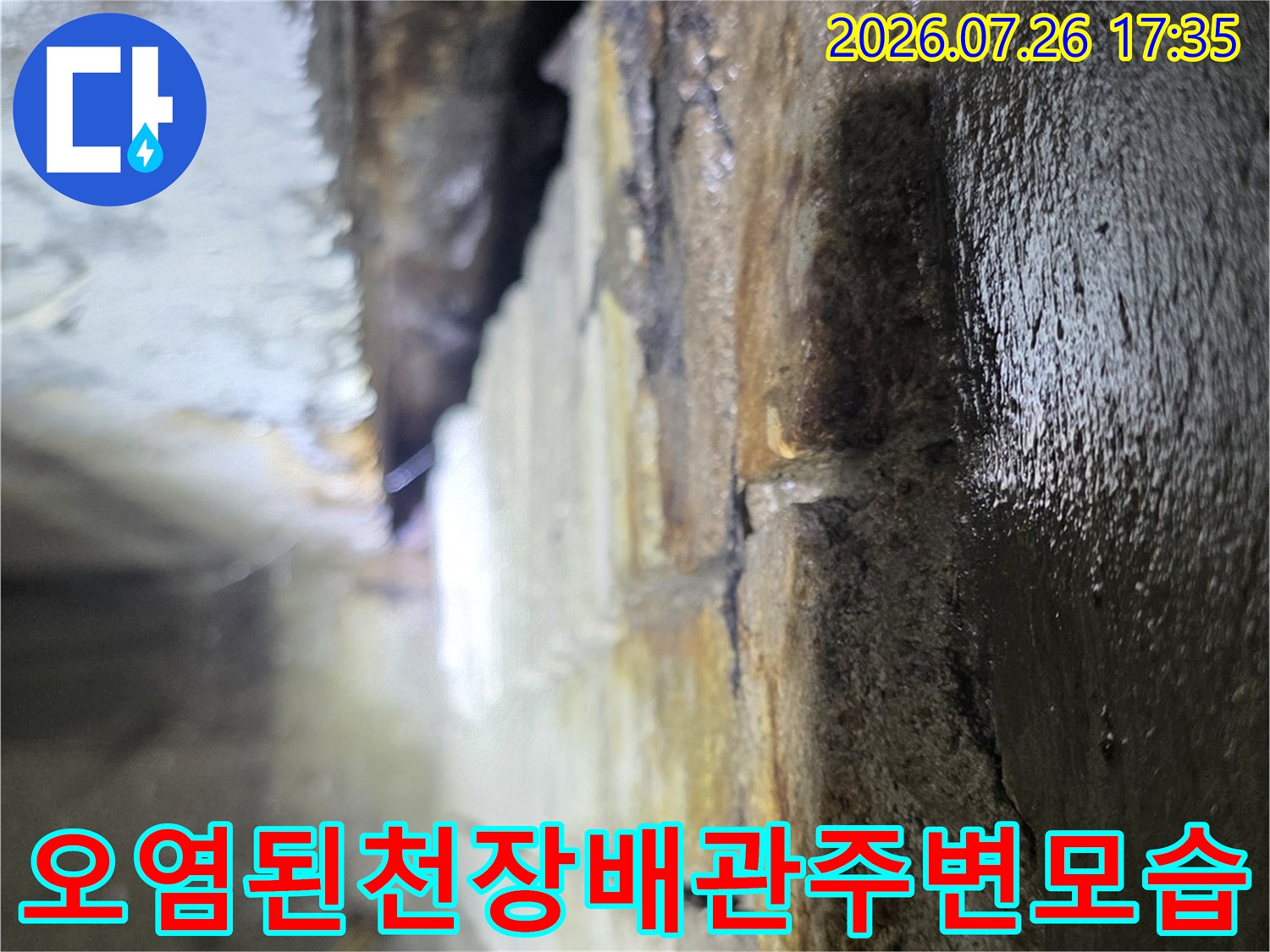 물기가 스며나와 어둡게 변색된 천장 콘크리트-슬래브-및-배관-부위