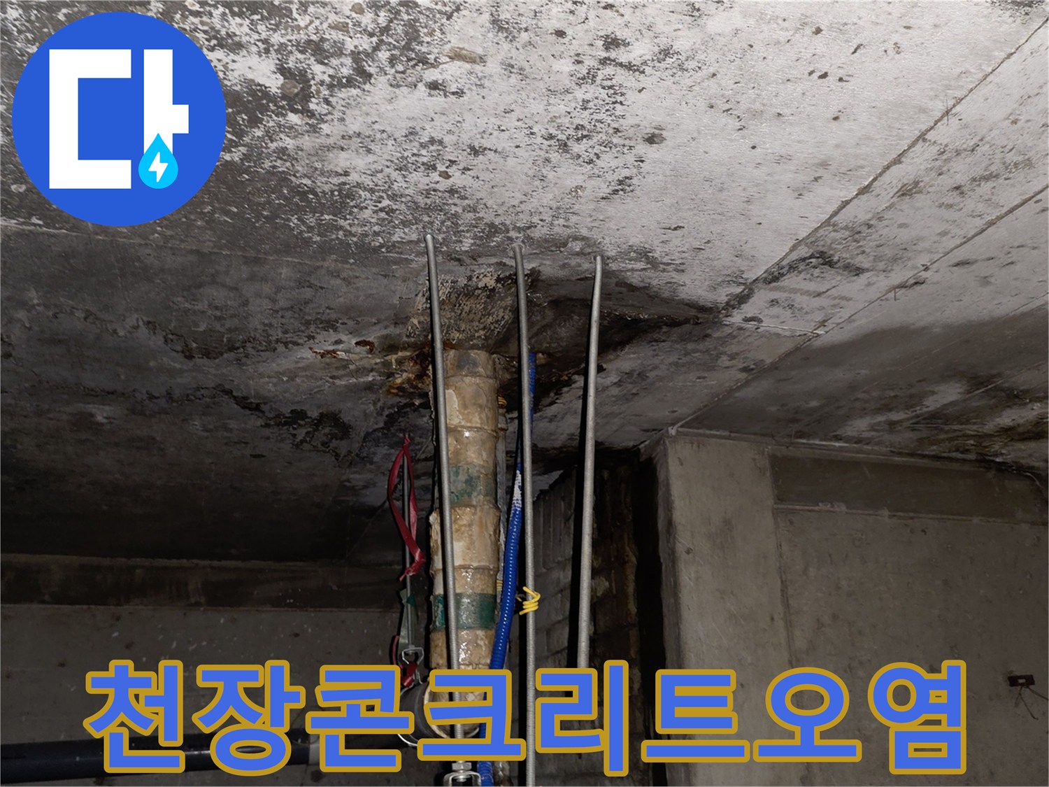 배관 주변 콘크리트 슬래브의 젖음 및 오염 상태