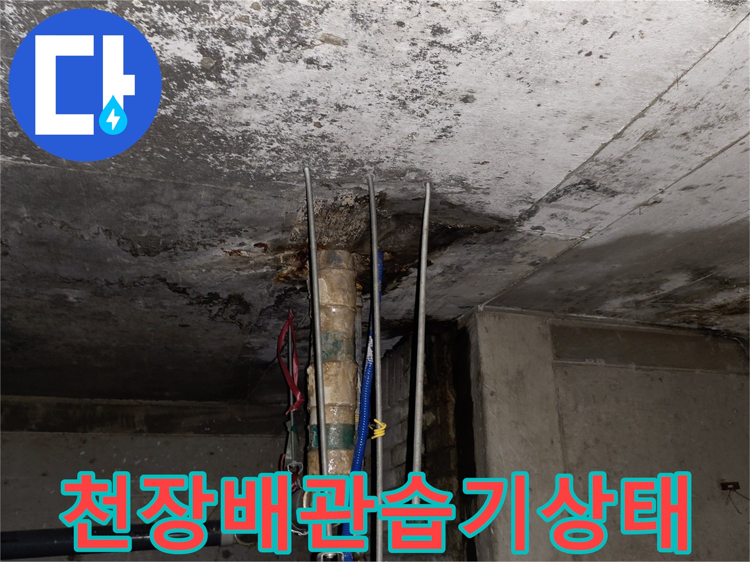 배수 배관 주변의 젖은 콘크리트 슬래브와 오염 부위