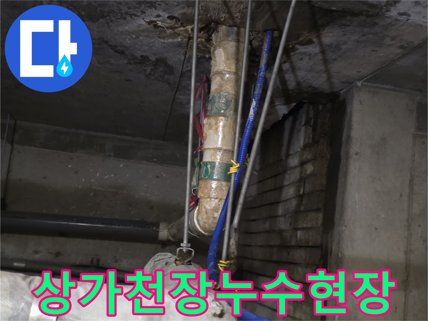 분당-수내동-상가-천장-배관-주변-습기-및-오염-상태