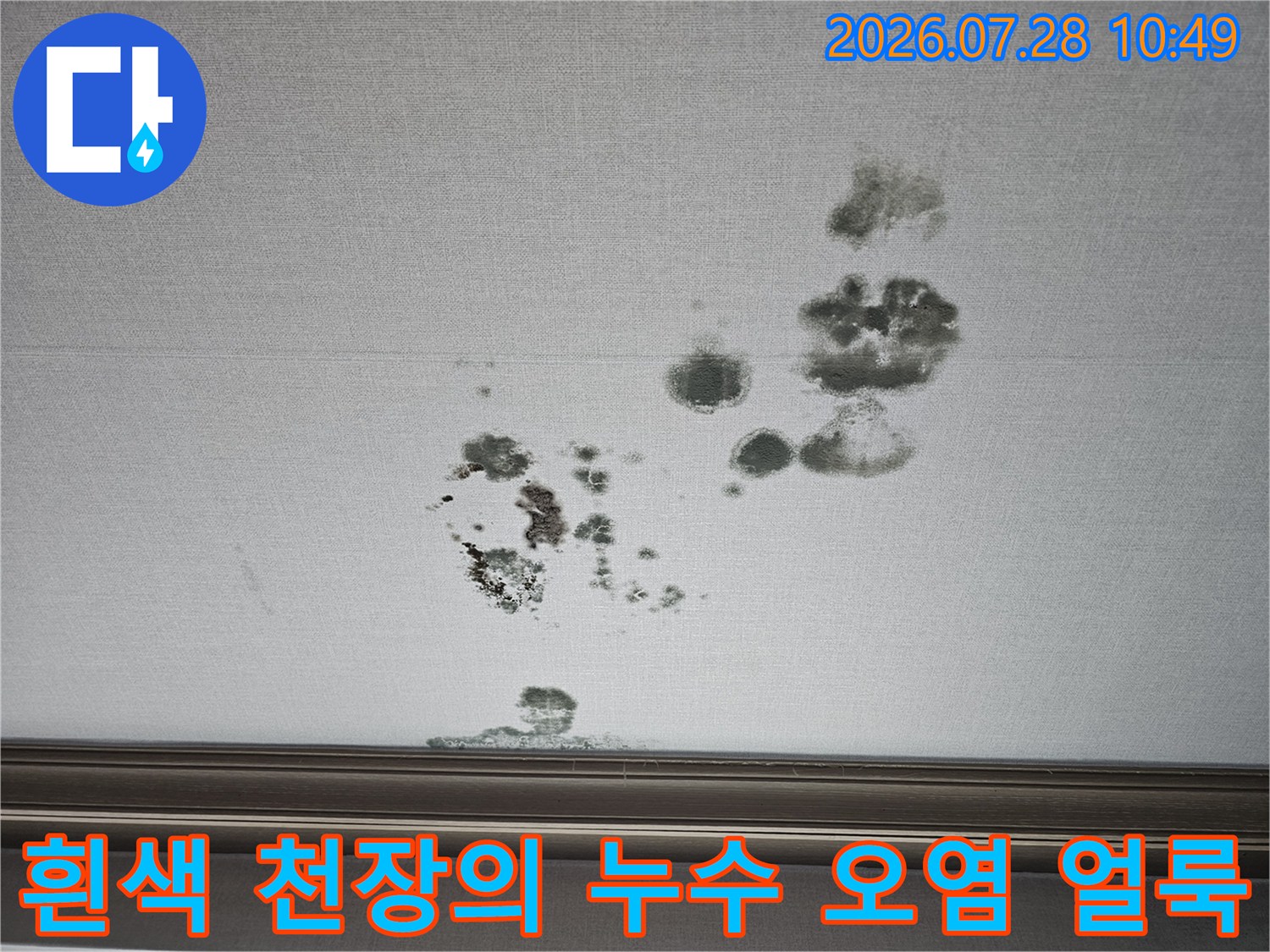 거실 내부 천장 면에 발생한 곰팡이 및 누수 자국