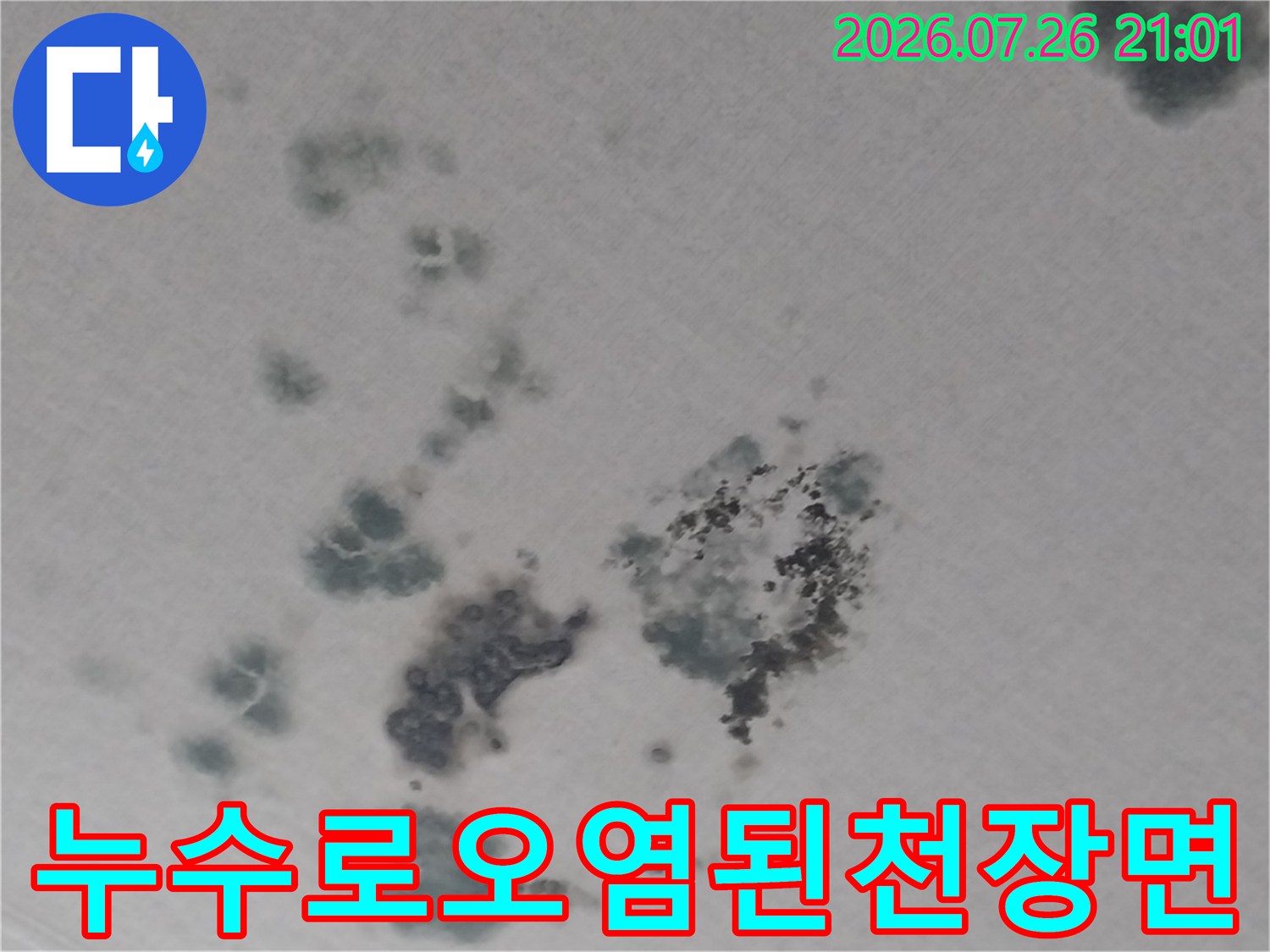 거실 천장에 발생한 누수 흔적과 곰팡이 오염 부위