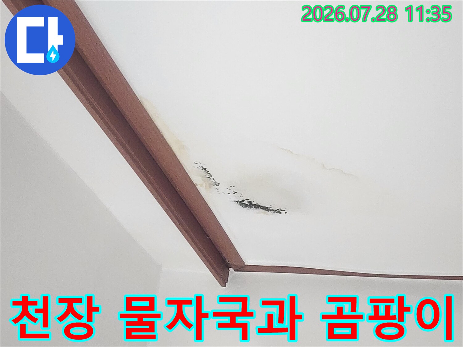 거실 천장의 누수 증상과 벽면 오염 상태를 보여주는 사진