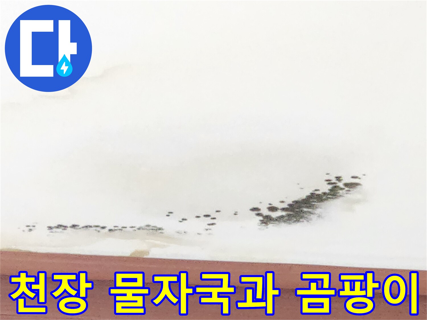 아랫집 거실 천장에 발생한 누런 물얼룩과 검은 곰팡이 상태