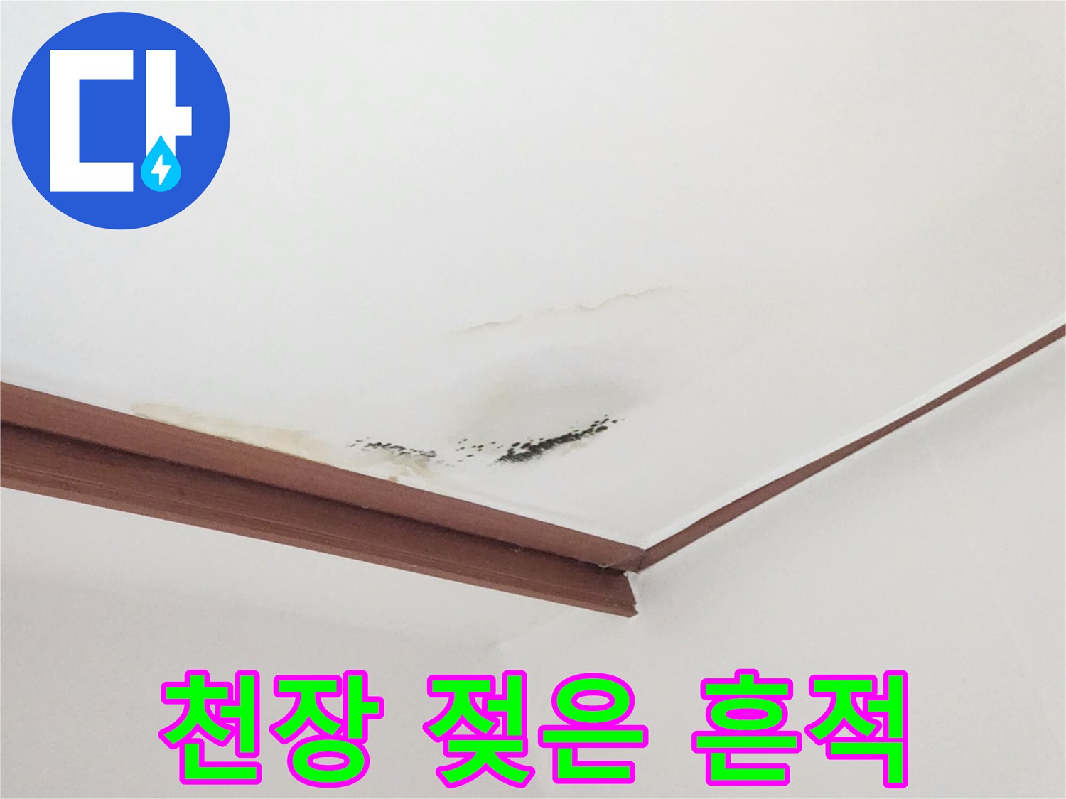 천장 면에 발생한 넓은 물얼룩과 곰팡이