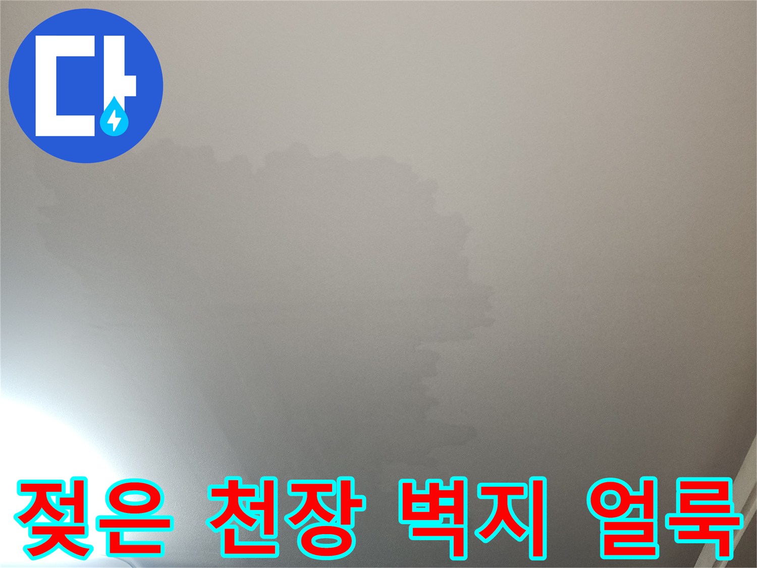 거실 천장 벽지에 발생한 누수 물자국과 변색 현상