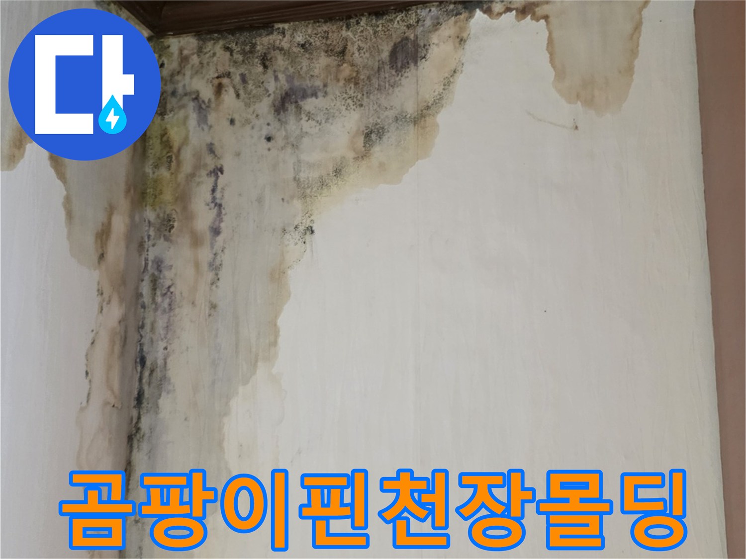 천장과 벽면 접합부-물샘 흔적과 함께 곰팡이가 번진 마감재 상태
