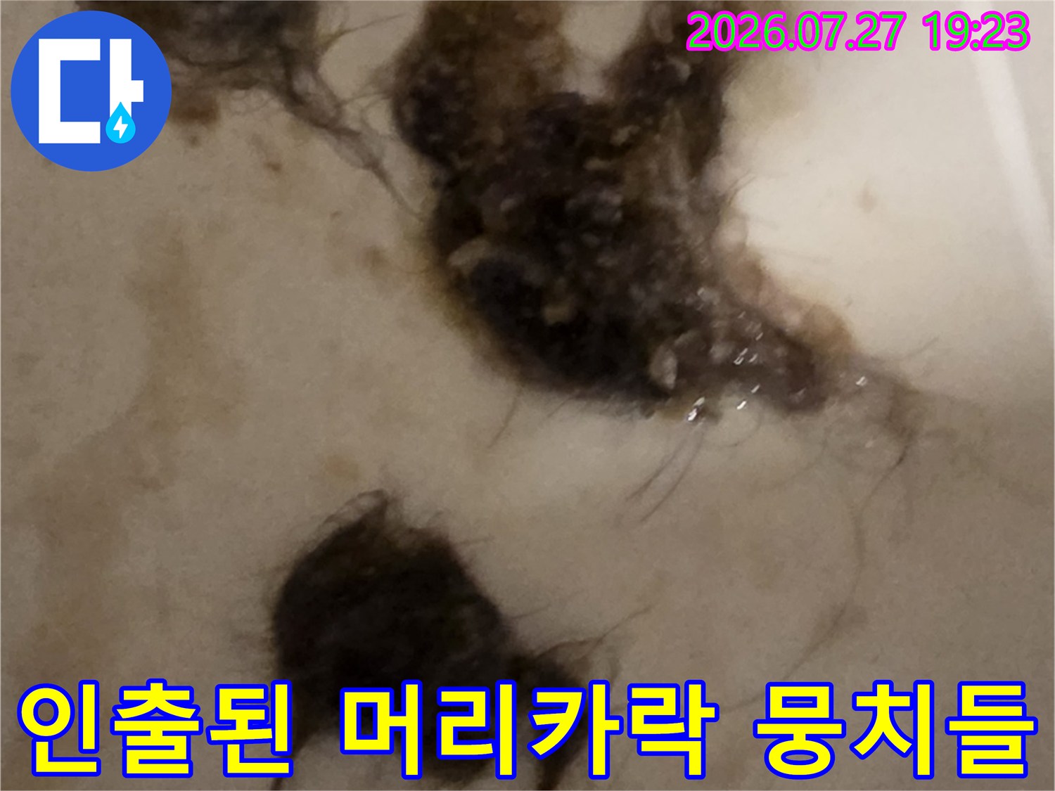 배관 내부에서 샤프트 장비로 끌어올린-검은색 머리카락과 오물 덩어리 사진