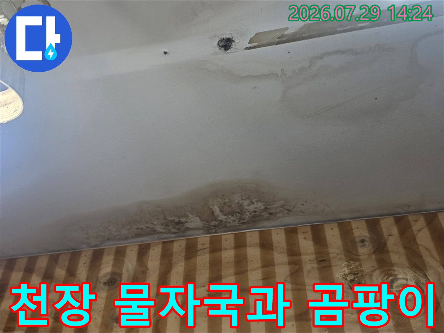 천장에 발생한 누수 흔적과 습기로 인한 얼룩 및 곰팡이 현장